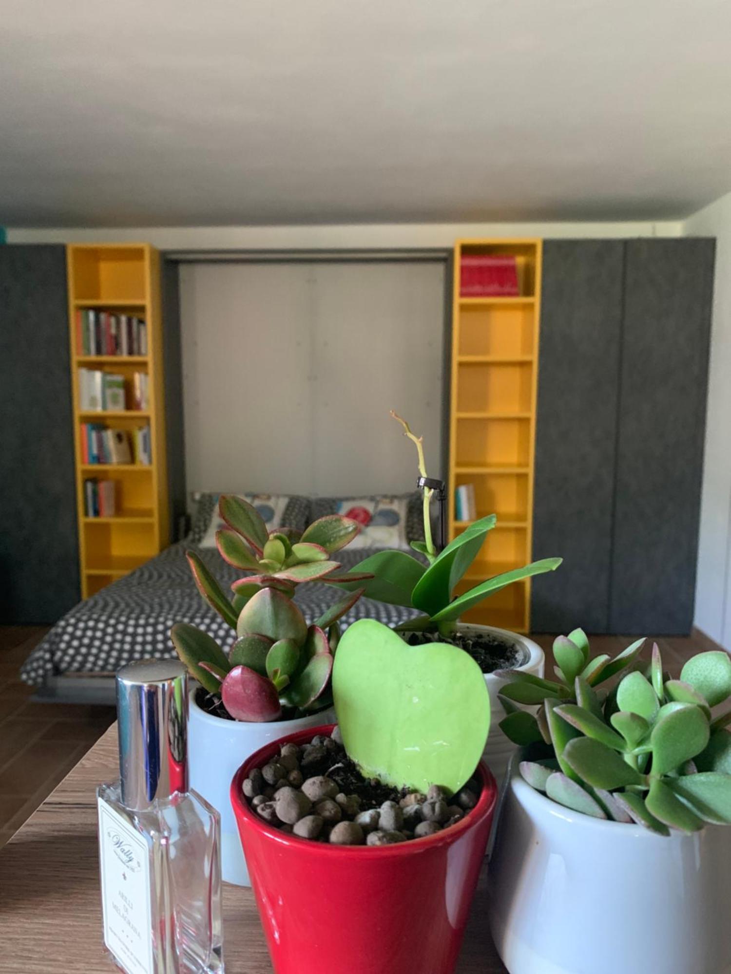 Appartamento Con Giardino Pontecchio Marconi المظهر الخارجي الصورة